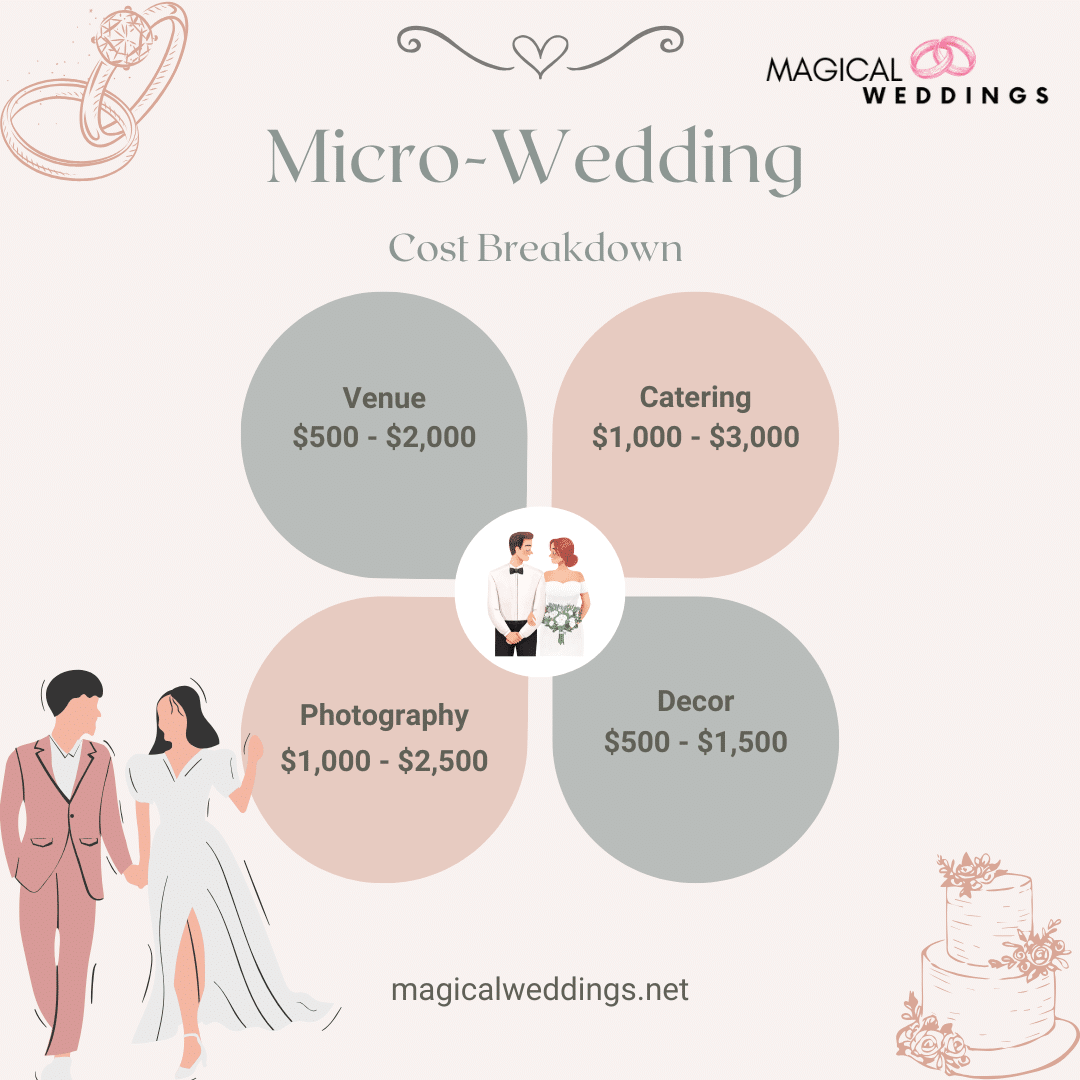 Micro Wedding Cost Breakdown Infographic