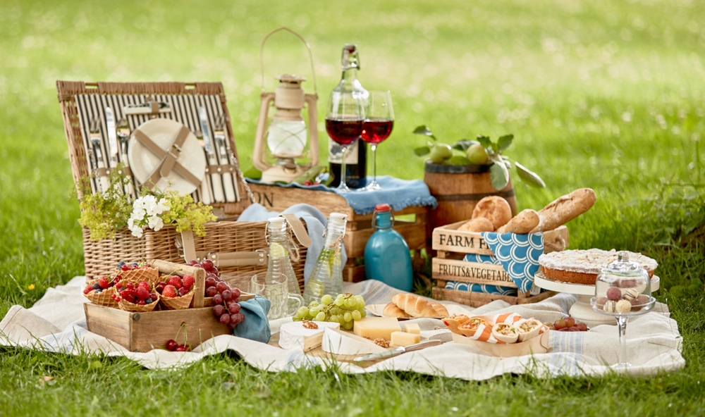 Blanket with picnic food set on green grass in garden 